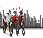 Phoenix Motors Pvt Ltd-3