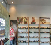 Woodland in Abids-2