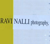 Ravi Nalli Photography-2