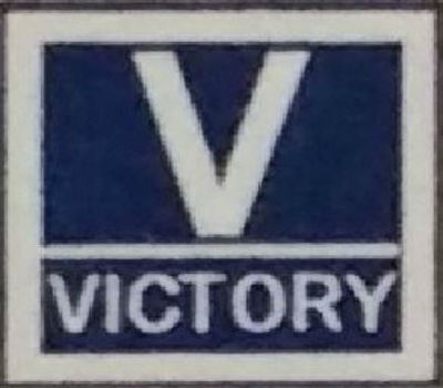 Vikas Talent School-2