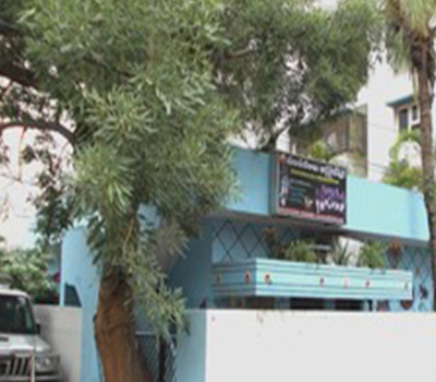 Manchikalalu Organization-2