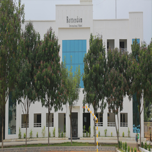 Rotterdam International School image-1
