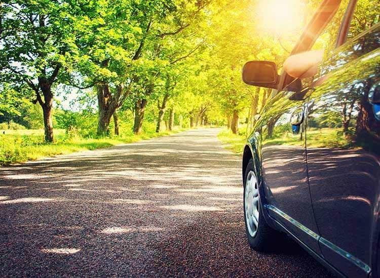Travel Wings Rent A Car image-1