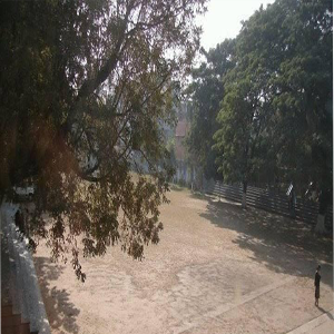Madina Public School image-1