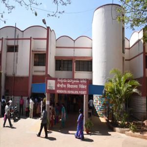 Kendriya Vidyalaya Picket image-1